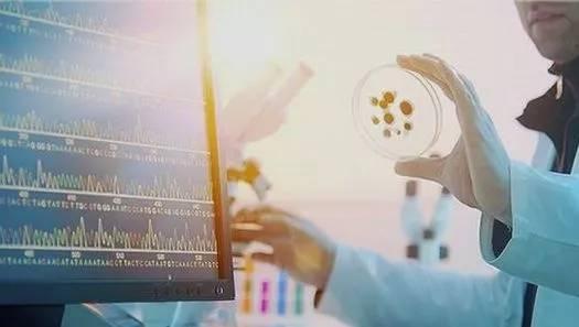 科技新闻投稿爆料,揭秘最新突破性科技进展与行业动态 第3张 科技新闻投稿爆料,揭秘最新突破性科技进展与行业动态 第3张